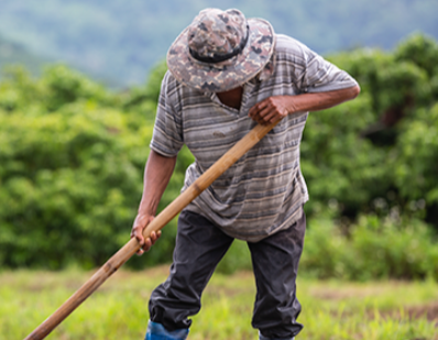 Produtividade do agro garante a estabilidade econômica 